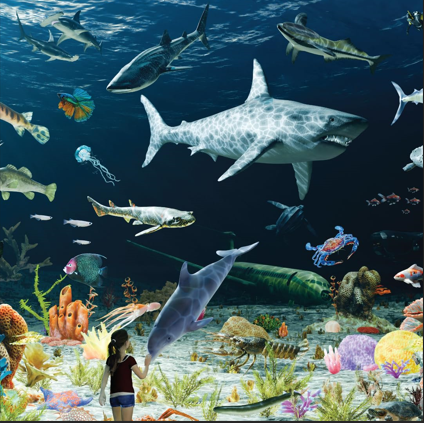 Aquatic Life Jigsaw Puzzle - (108 Jumbo Pieces)