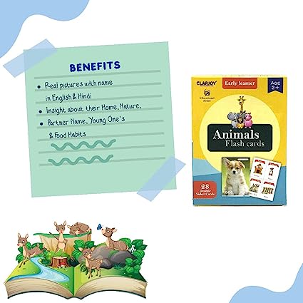 Animals Flash Card for Kids