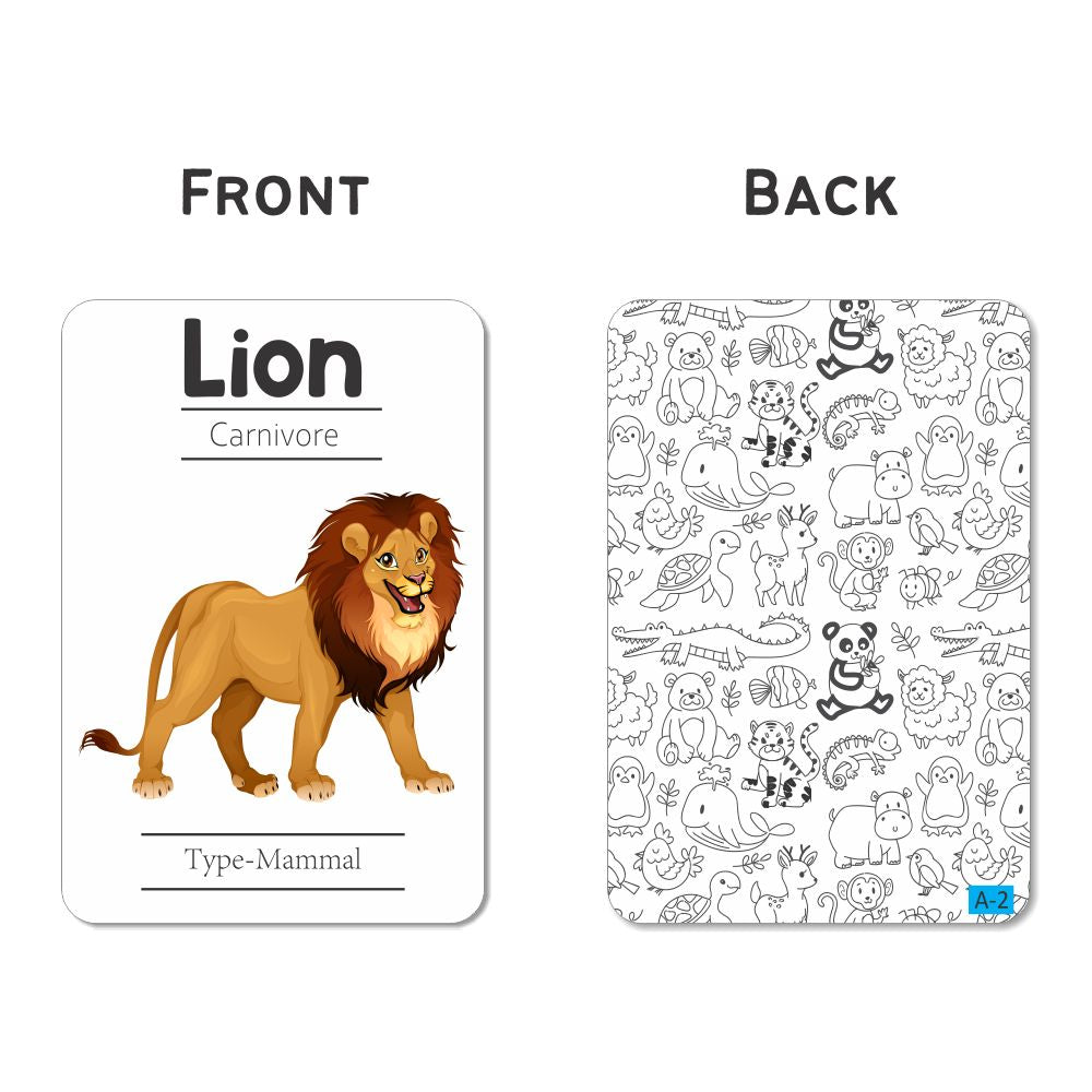 Animals Flashcards - Pack of 24