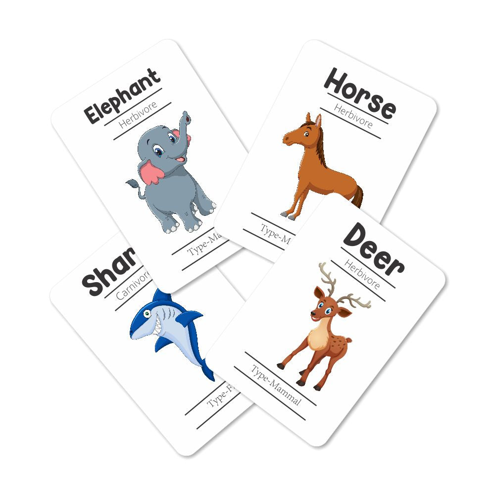 Animals Flashcards - Pack of 24