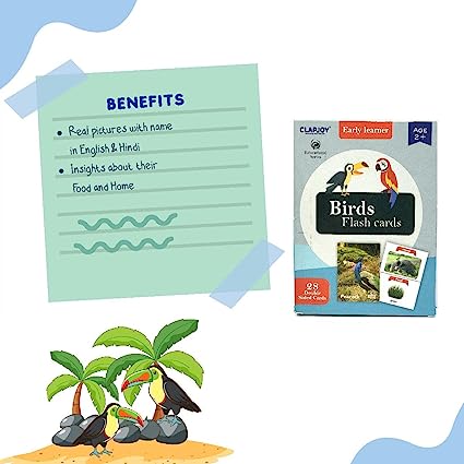 Birds Flash Card for Kids