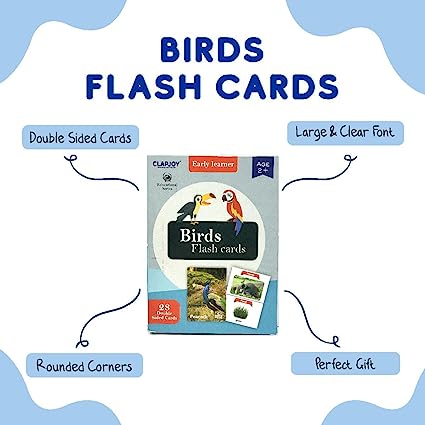 Birds Flash Card for Kids