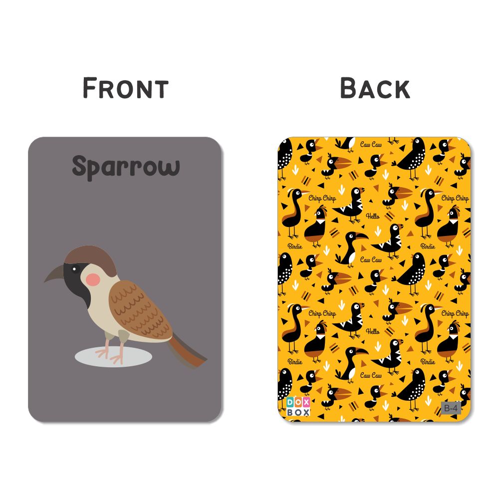 Birds Flash Cards For Kids - Pack of 24