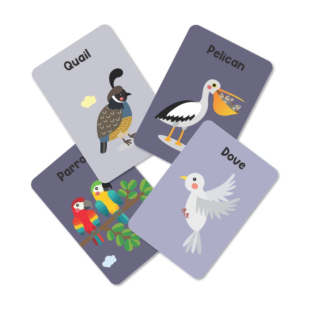 Birds Flash Cards For Kids - Pack of 24