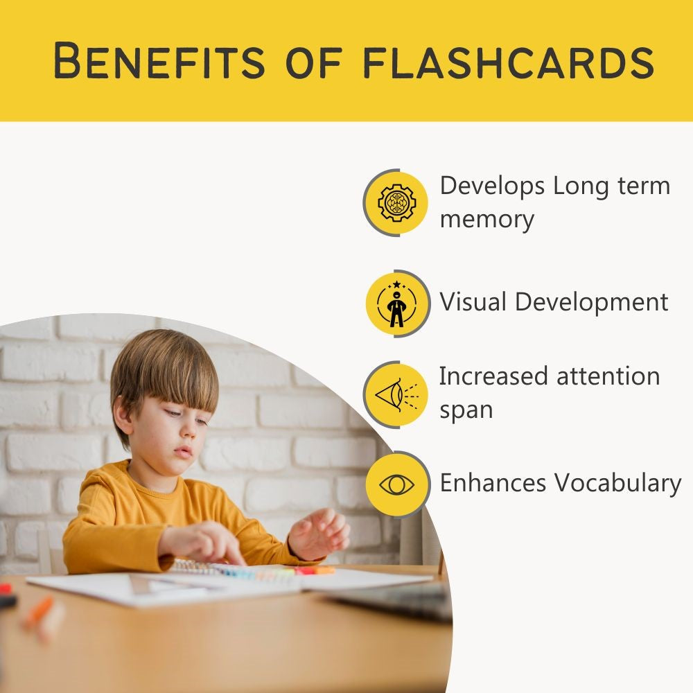 Birds Flash Cards For Kids - Pack of 24