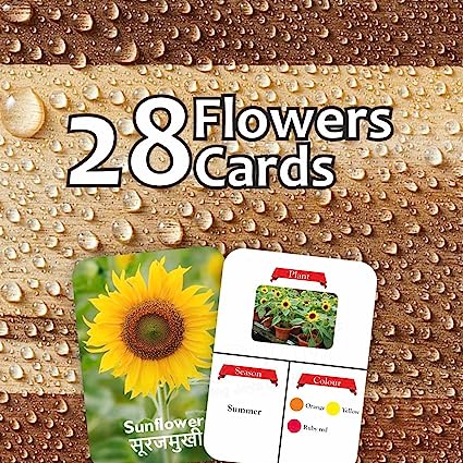 Flowers Flash Card