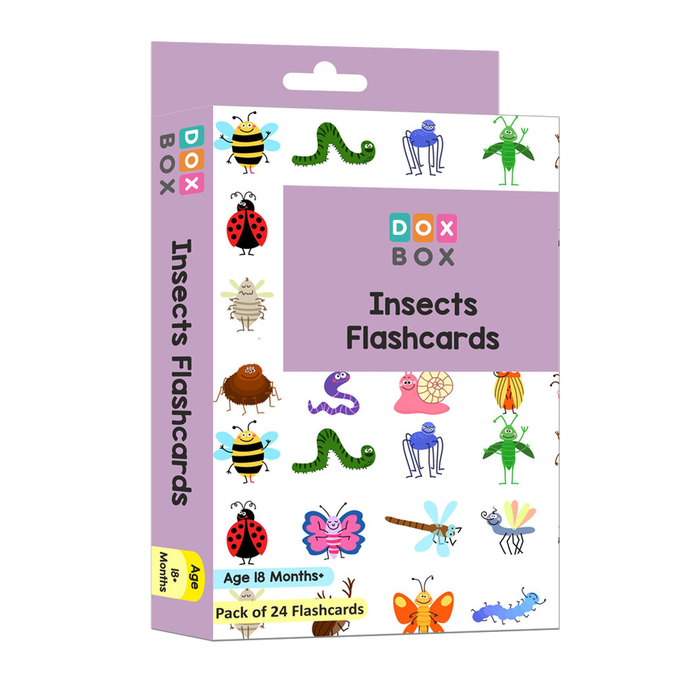 Insects & Other Small Animals Flashcards