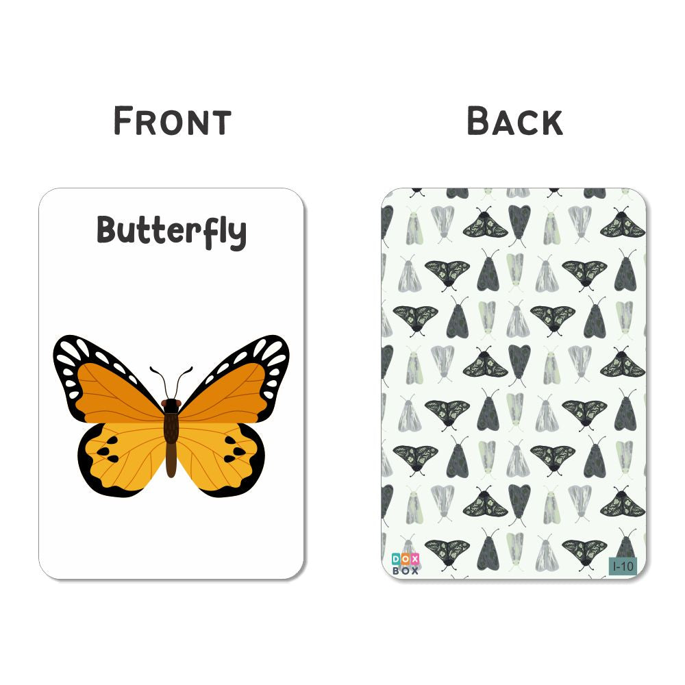 Insects & Other Small Animals Flashcards