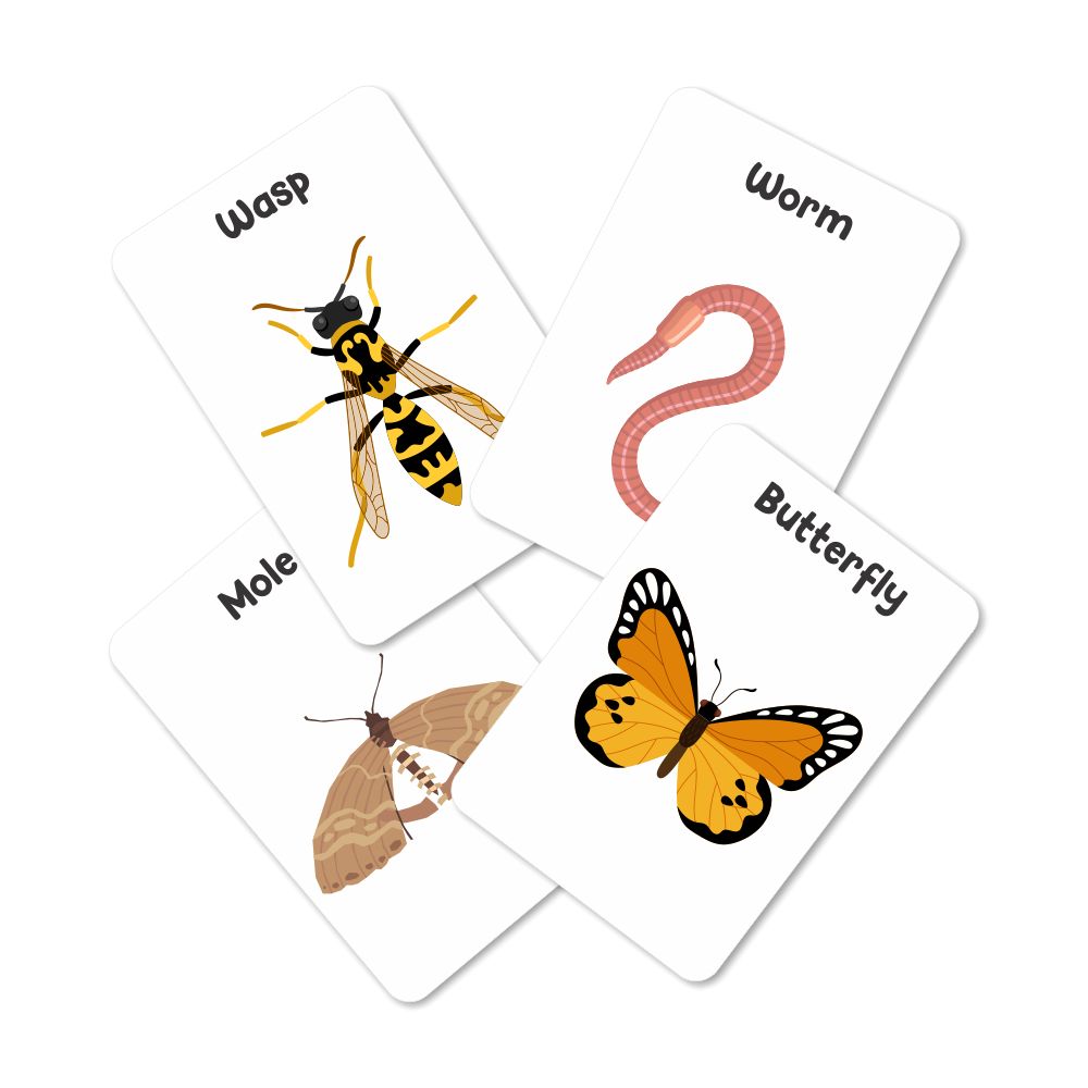 Insects & Other Small Animals Flashcards