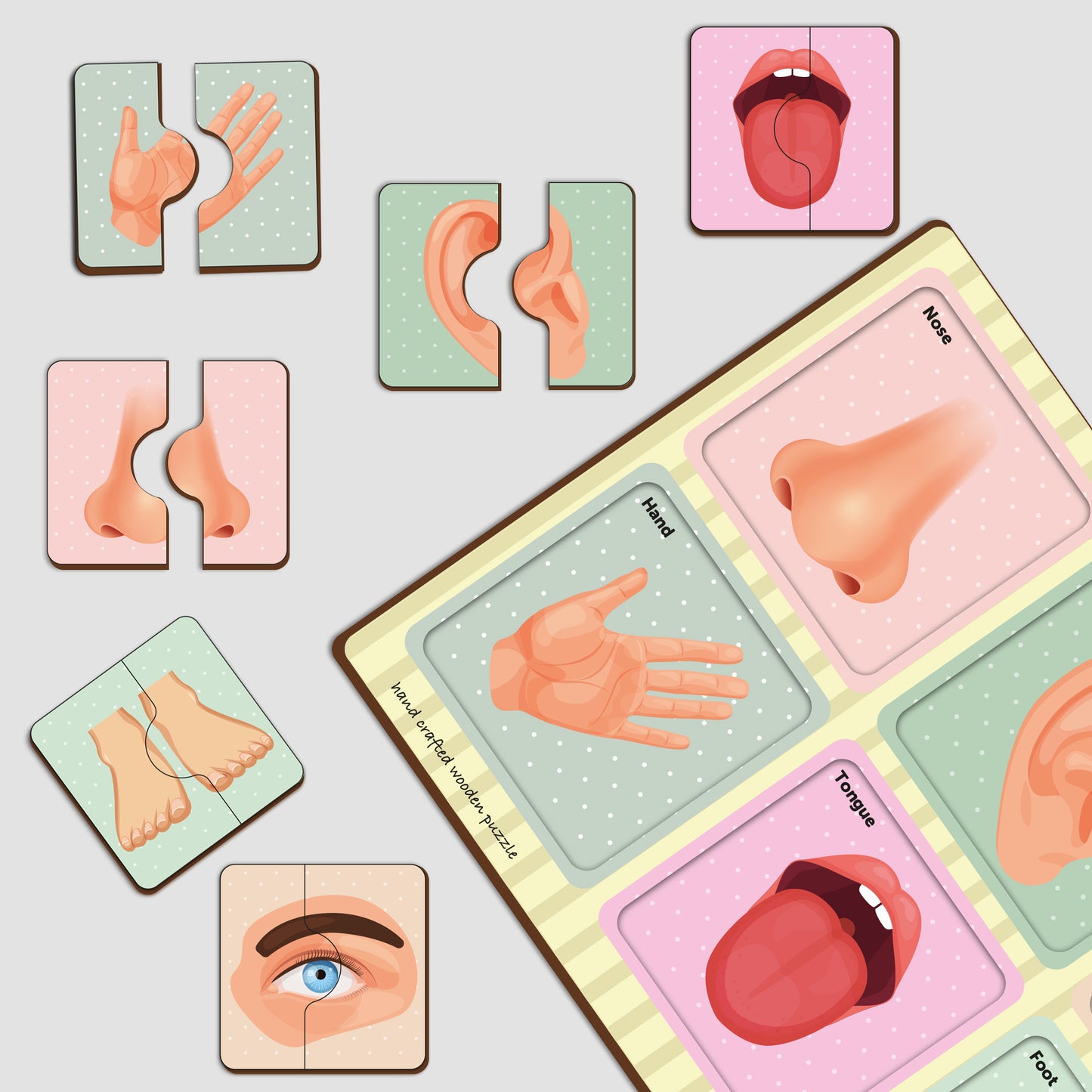 Wooden 2 Piece Human Body Parts Puzzle