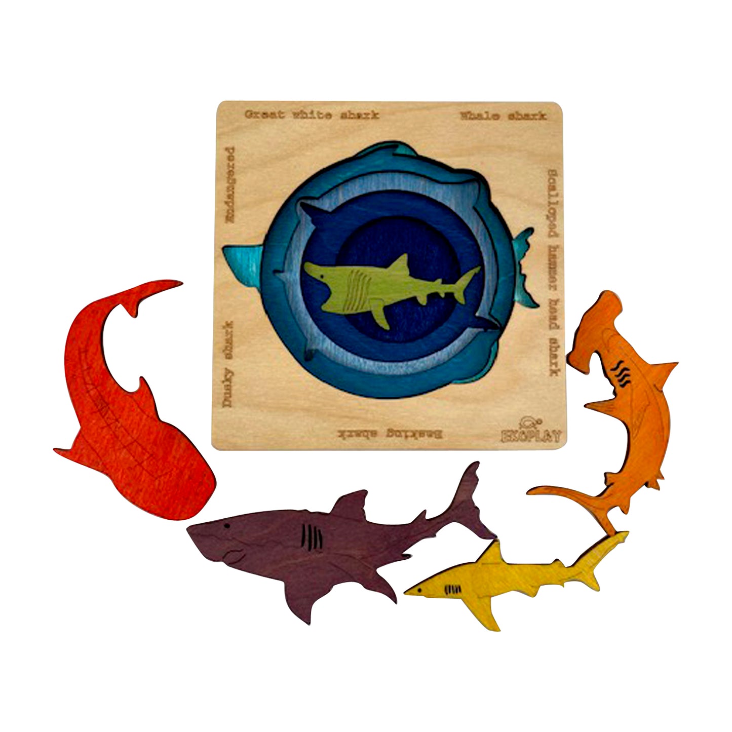 Wooden Endangered Sharks Puzzle Board