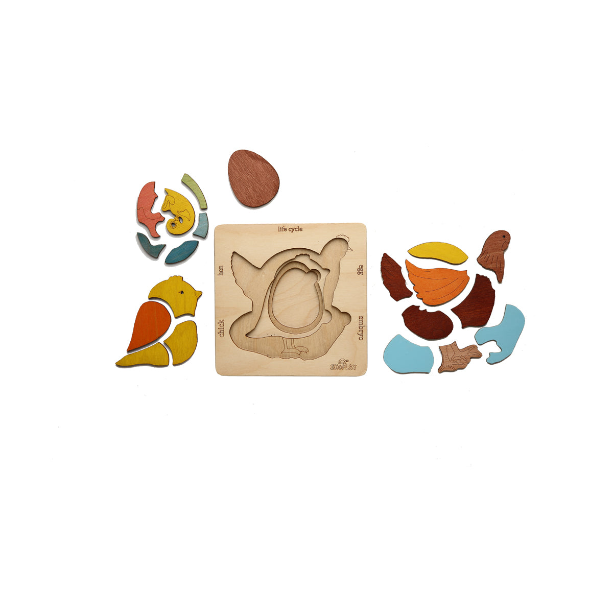 Wooden Life Cycle of a Chicken Puzzle Board