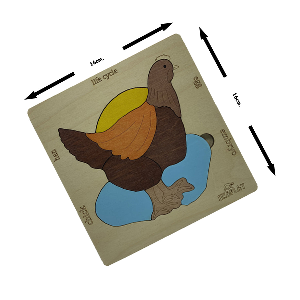 Wooden Life Cycle of a Chicken Puzzle Board