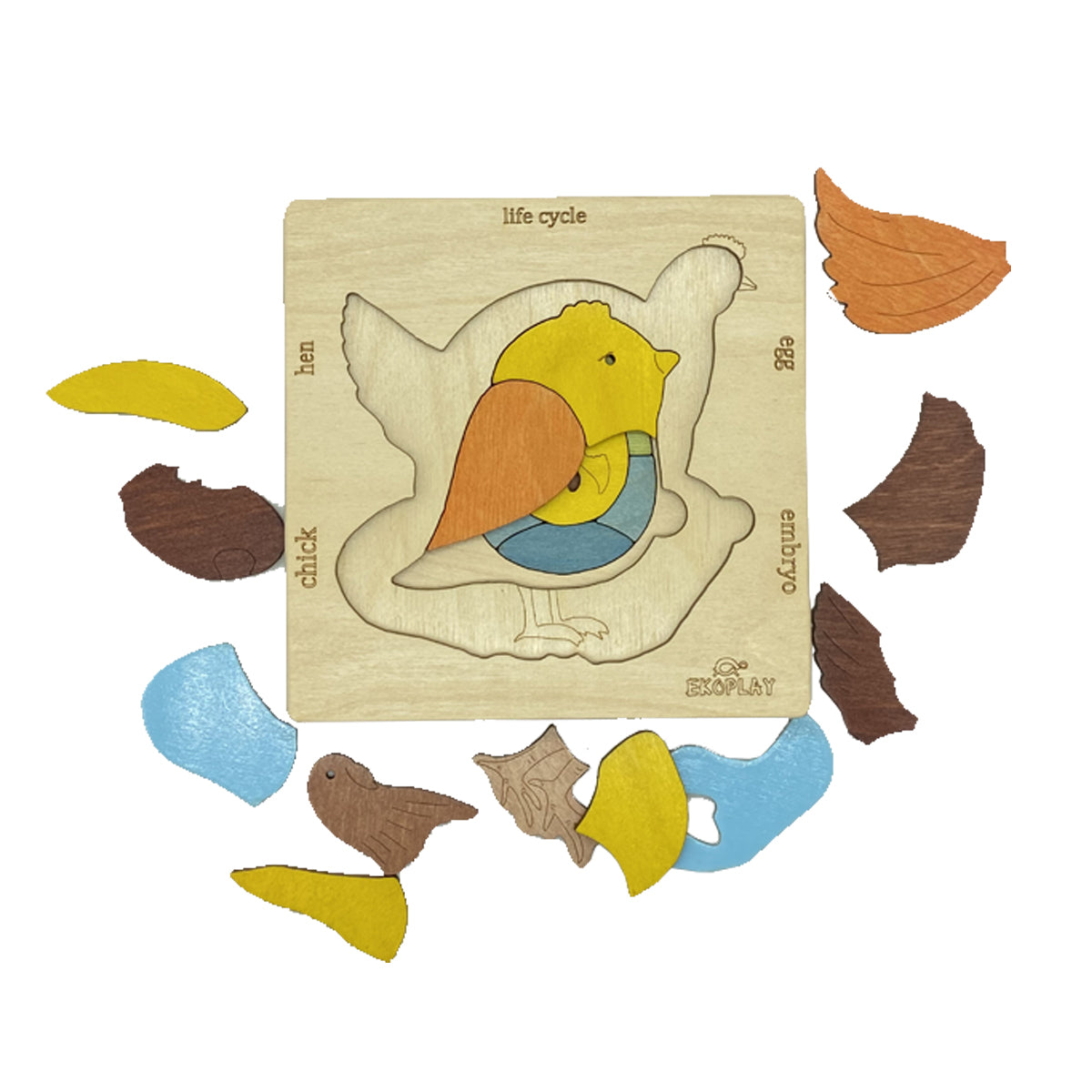 Wooden Life Cycle of a Chicken Puzzle Board