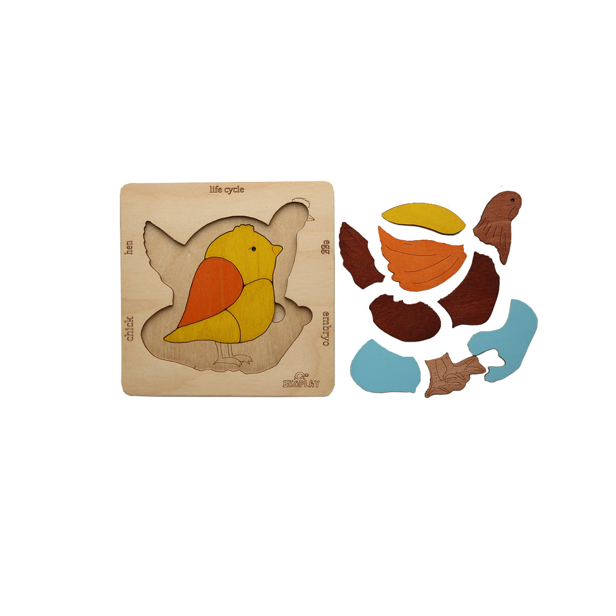Wooden Life Cycle of a Chicken Puzzle Board