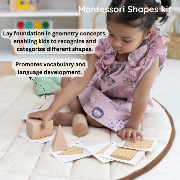 Montessori Play Kit Level 11