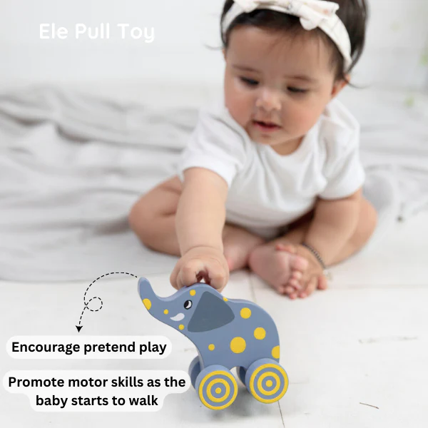 Montessori Play Kit Level 4 Advance - 7 Months+ Babies