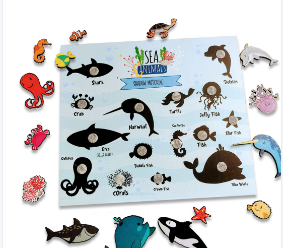 Sea Animals Shadow Matching Activity Game