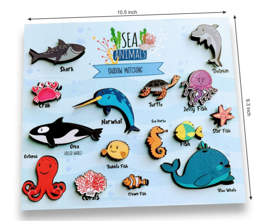 Sea Animals Shadow Matching Activity Game