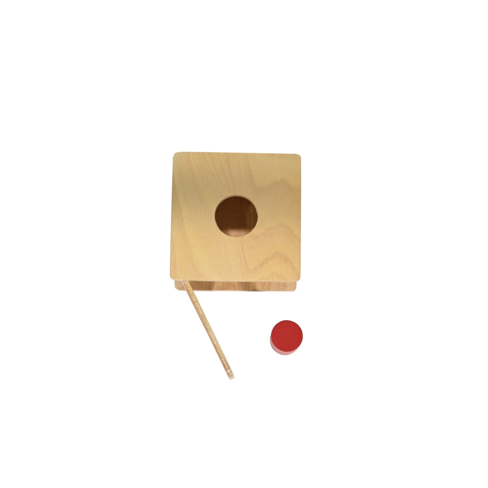 Montessori Imbucare Box with Large Cylinder Wooden Toy