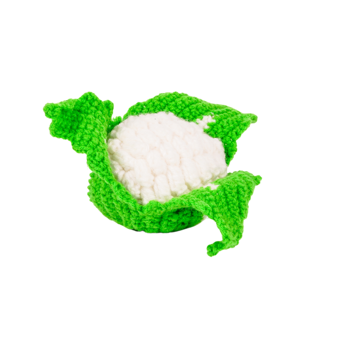 Vegetable toys crocheted for kids - (5 Pcs)