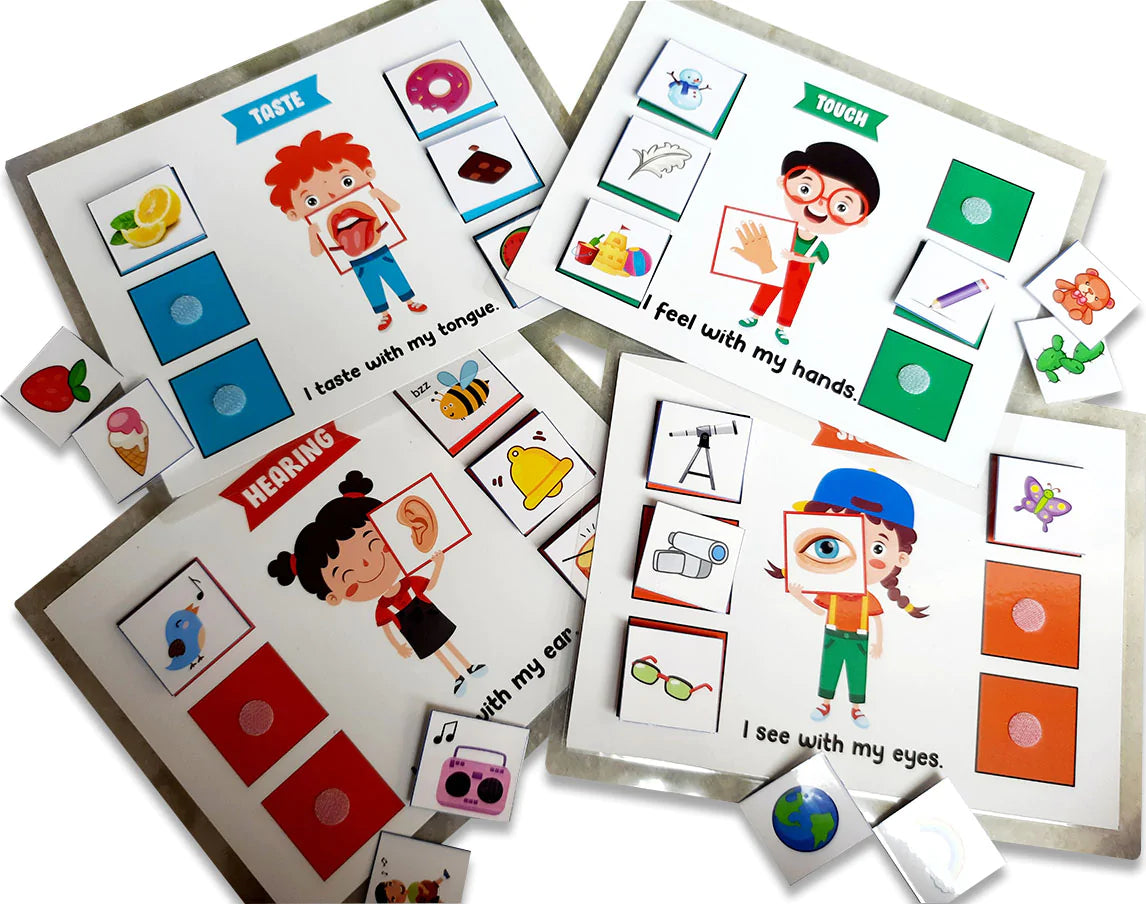 Buy 5 Senses Sorting Activity Game - Different Senses Learning - SkilloToys.com