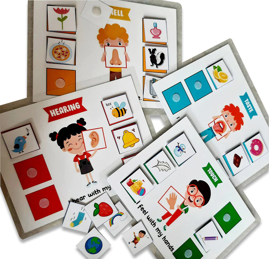 Buy 5 Senses Sorting Activity Game - Fun Learning - SkilloToys.com