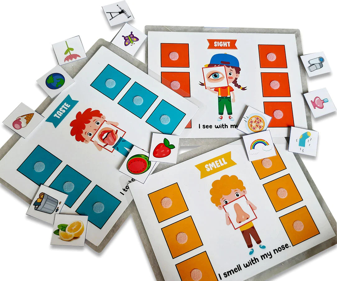 Buy 5 Senses Sorting Activity Game - Laminated Board - SkilloToys.com