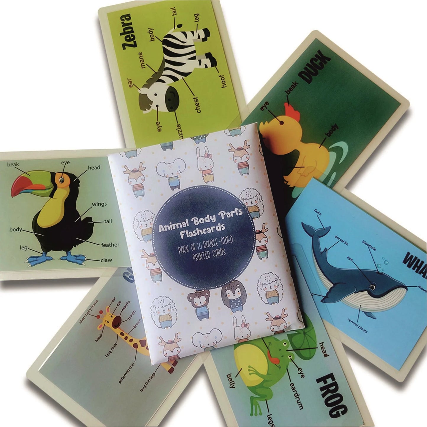 Buy Animal Body Parts Flashcards - Pack of 10 - Pack of 10 Double Sided Flashcards - SkilloToys.com