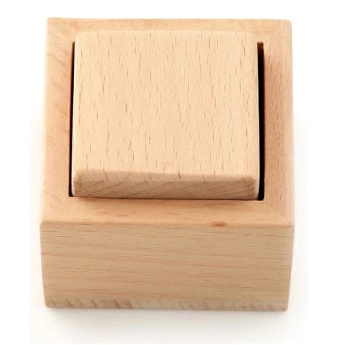 Buy Ariro Montessori First Puzzle Set - SkilloToys.com