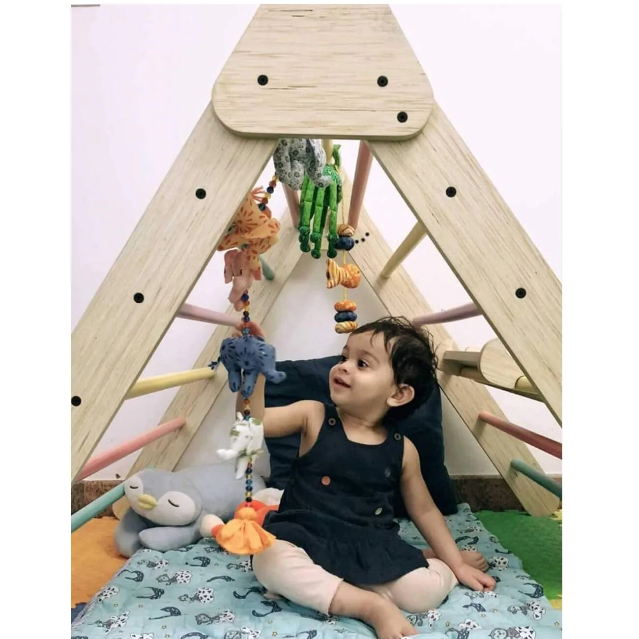 Buy Ariro Semi Colored Pikler Triangle Play - SkilloToys.com