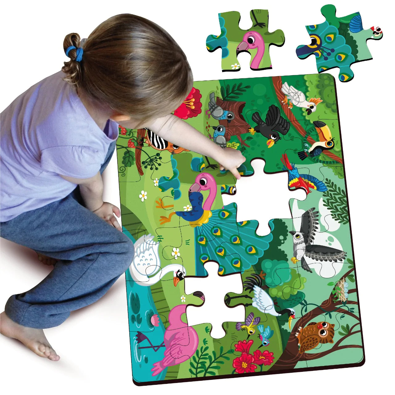 Buy Birds Wooden Puzzle Set - SkilloToys.com