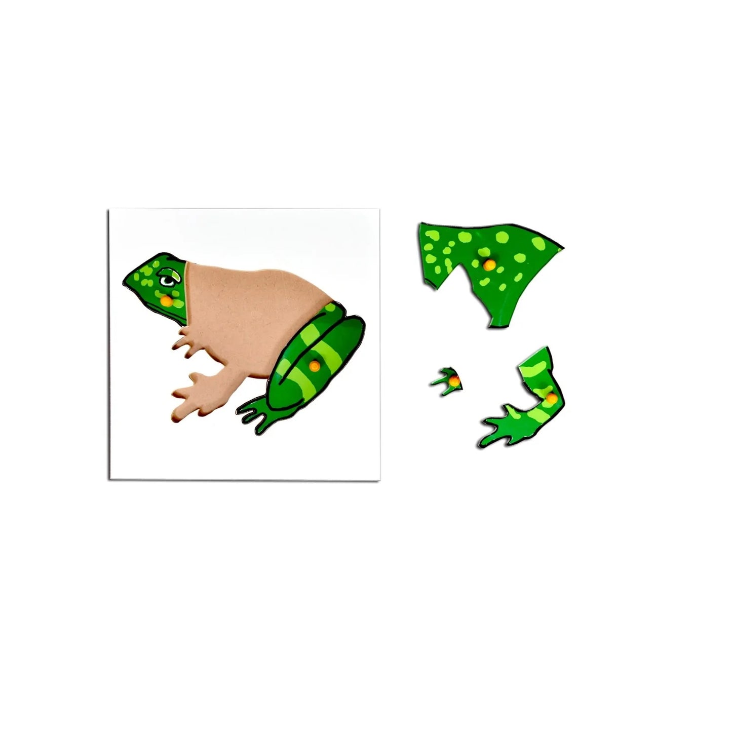 Frog Puzzle Board
