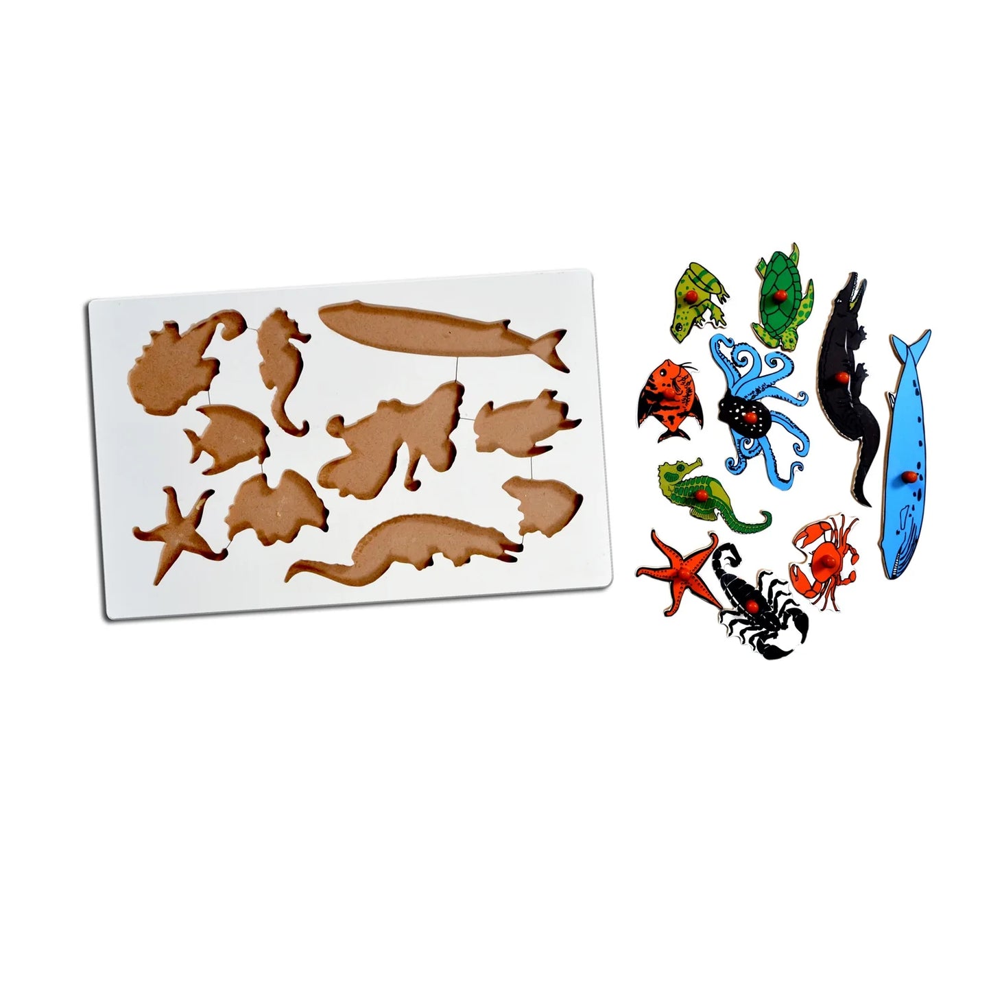 Montessori Insert Board Learning Board - Aqua Animals
