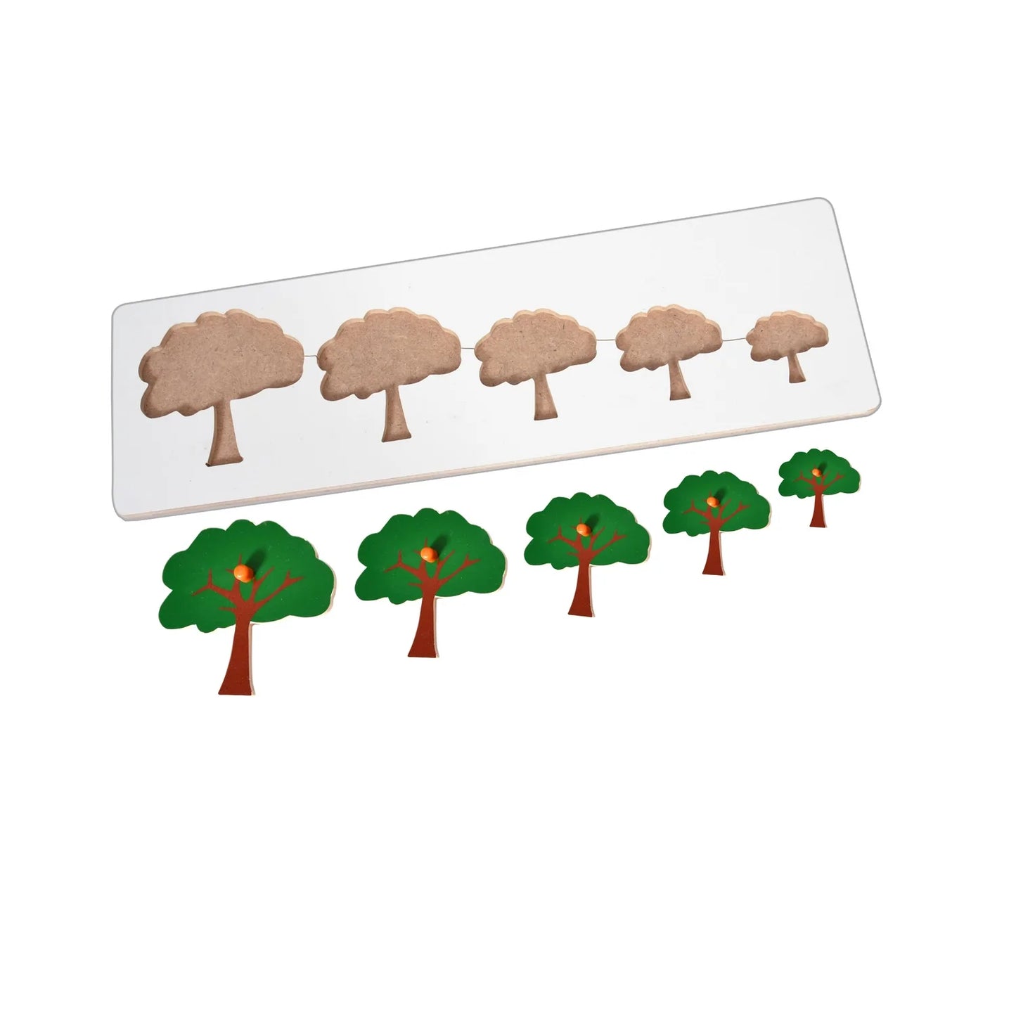Montessori Size Variation Inset Learning Board - Tree