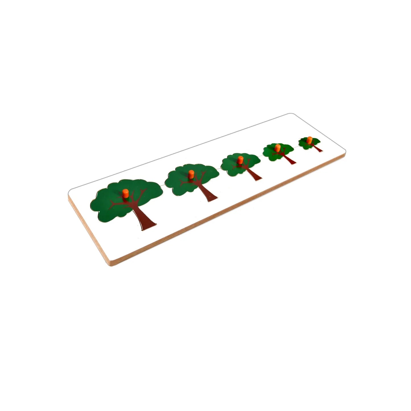 Montessori Size Variation Inset Learning Board - Tree