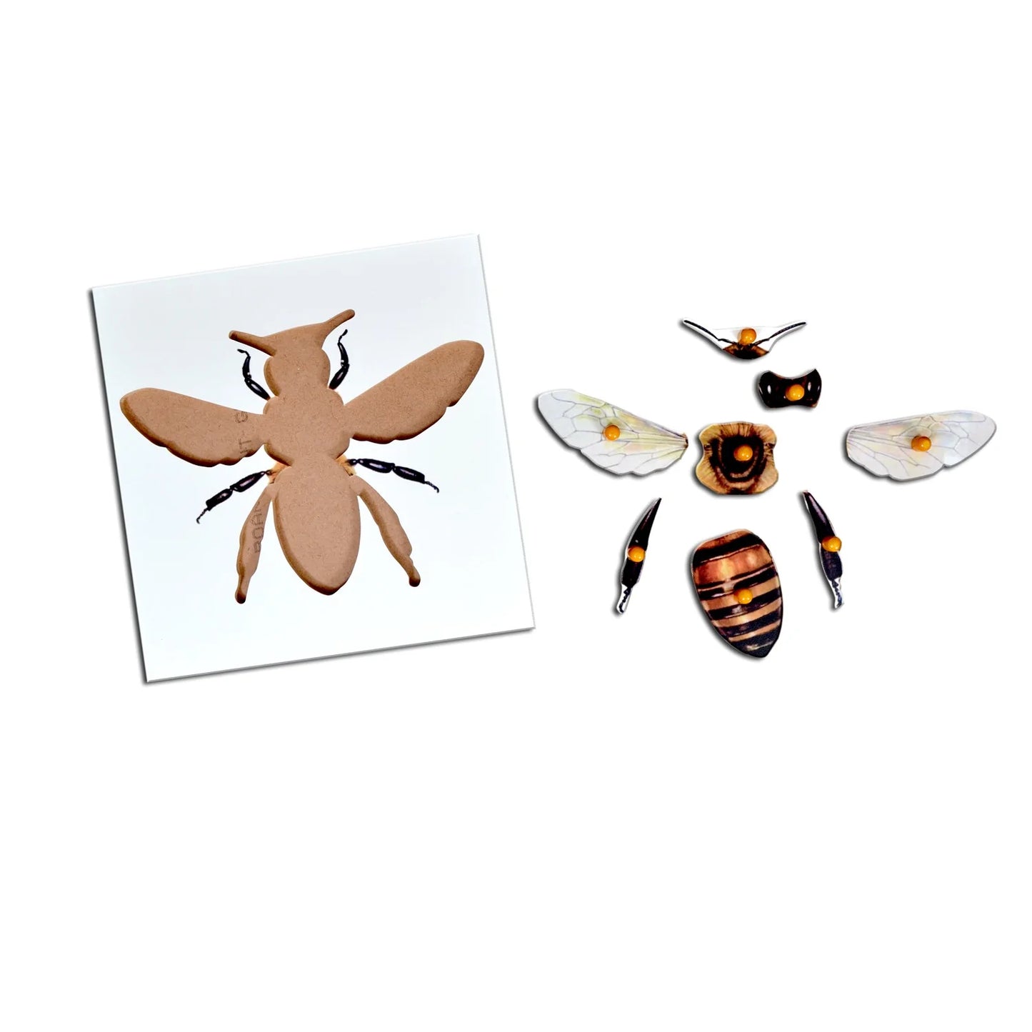Buy Kidken Montessori Wooden Pegged Learning Board - Bee - Montessori Learning Board - SkilloToys