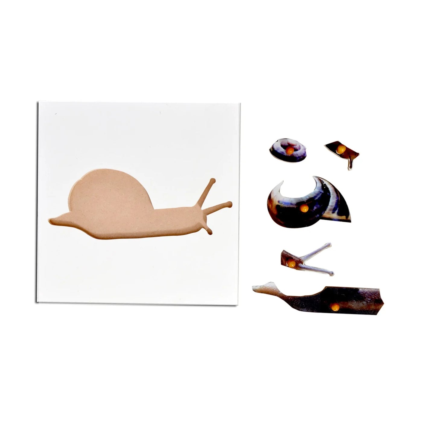 Montessori Wooden Pegged Learning Board - Snail