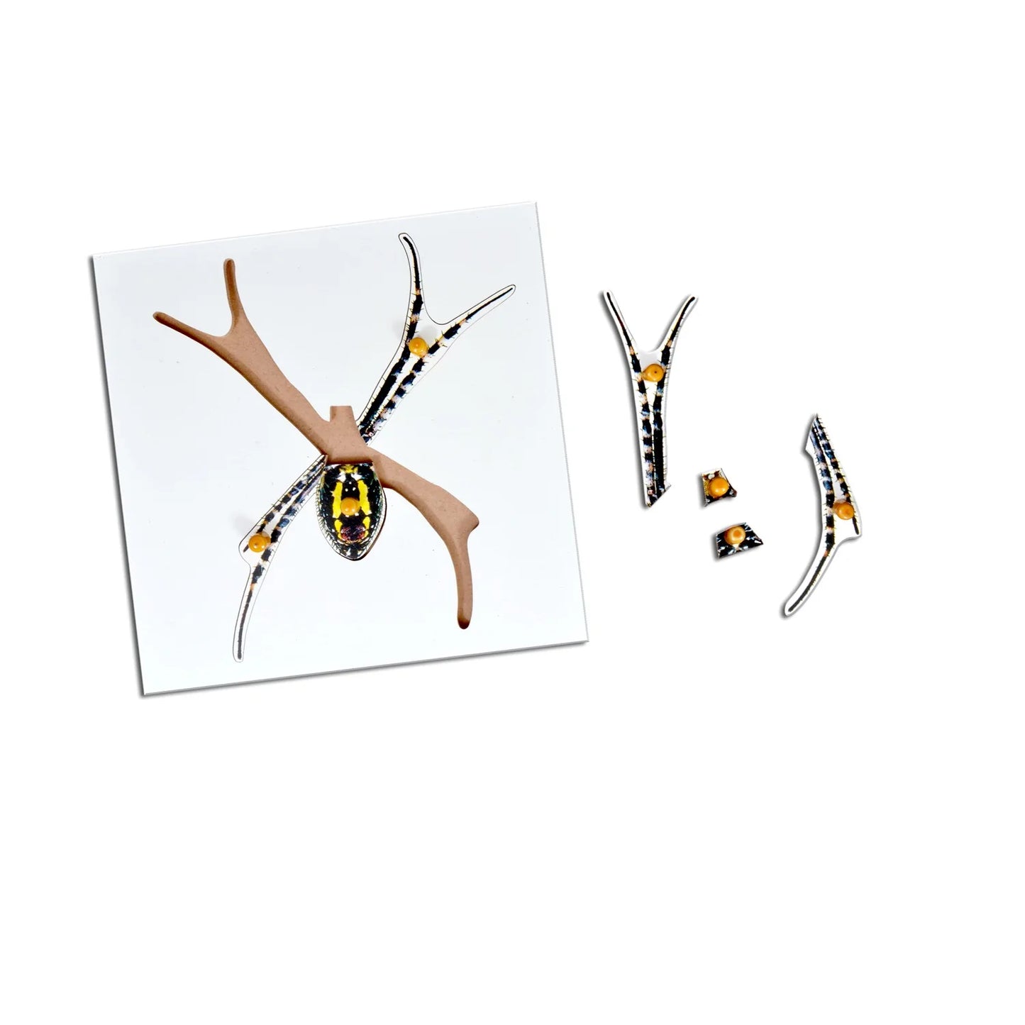 Montessori Wooden Pegged Learning Board - Spider