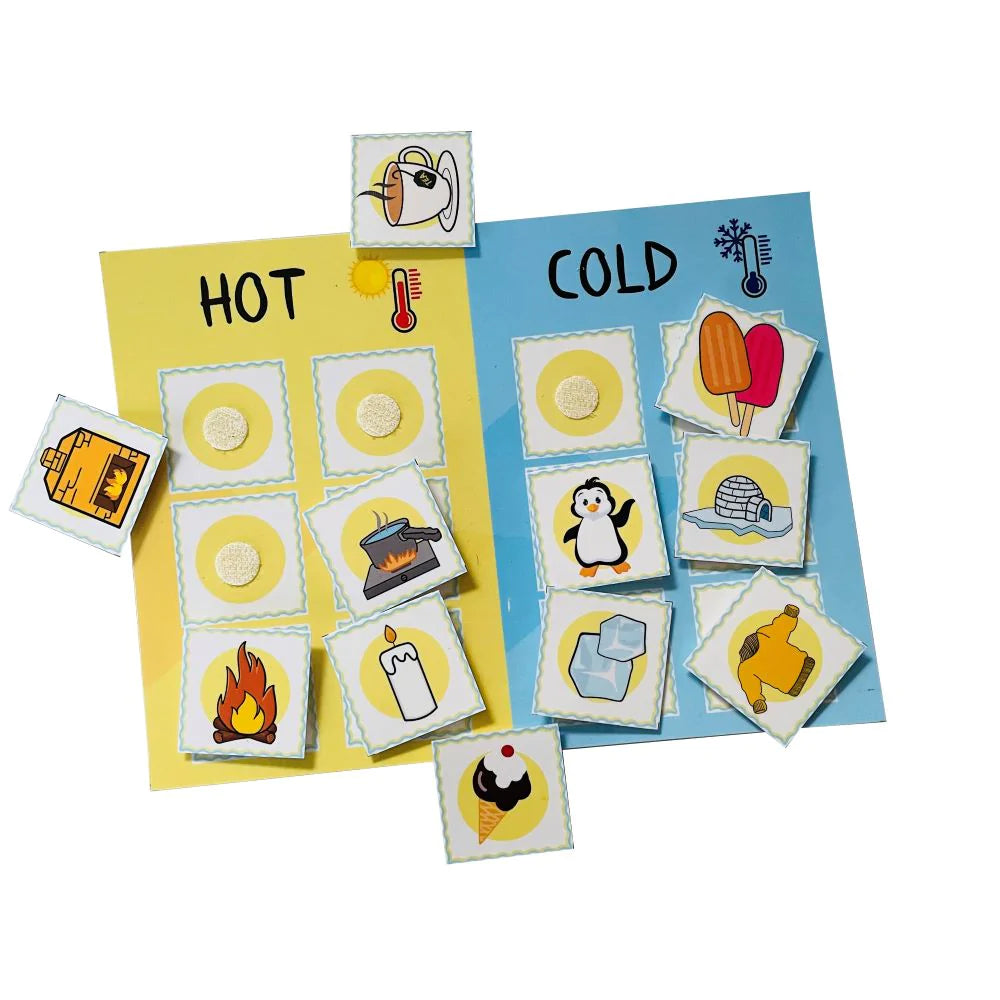 Buy Simple Science Sorting Activity Game 4 In 1 Science Activity - SkilloToys.com