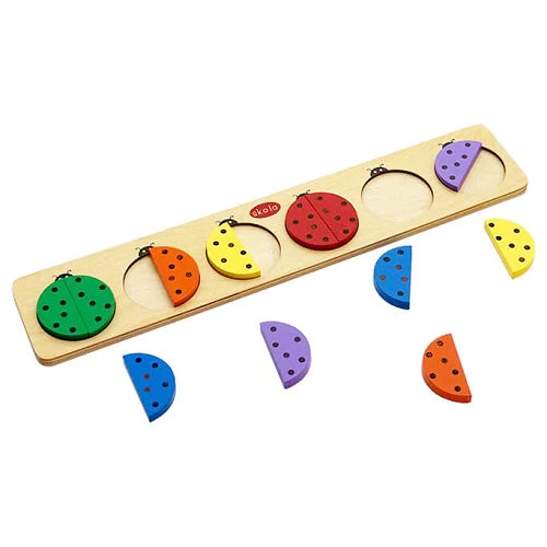 Buy Skola Coloured Beetles Wooden Toys - SkilloToys.com