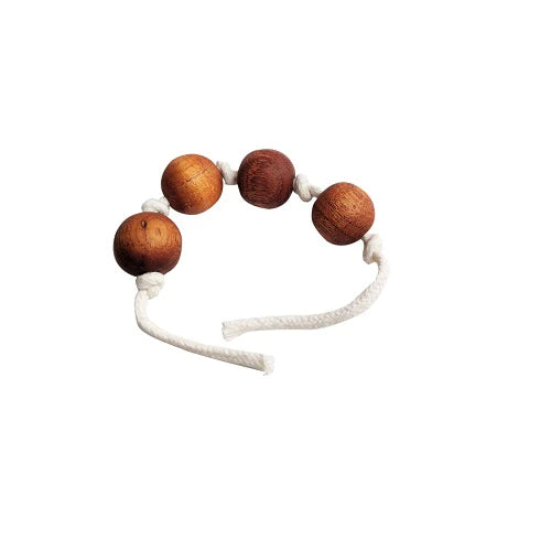 Buy Thasvi Montessori Baby Set With Interlocking Disc - SkilloToys.com