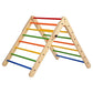 Buy The Climbing & Pikler Triangle with Reversible Ramp - Pikler Triangle - SkilloToys.com