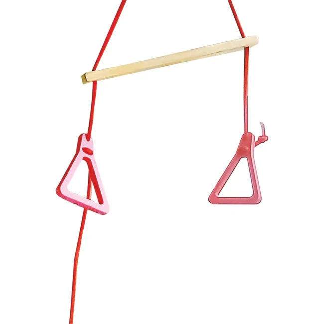 Buy Trapeze Monkey bar - Fun Toy - SkilloToys.com