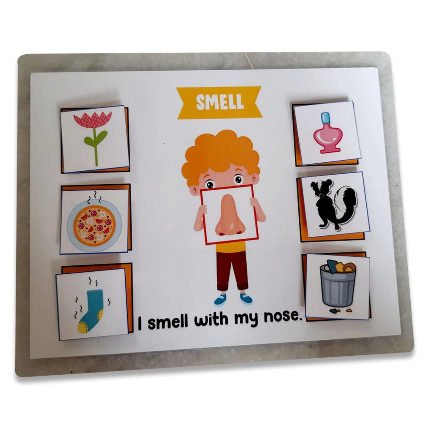 Buy 5 Senses Sorting Activity Game - SkilloToys.com