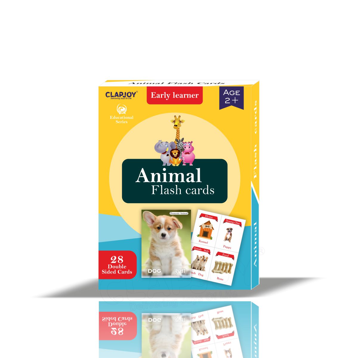 Buy Animals Flash Card for Kids - SkilloToys.com