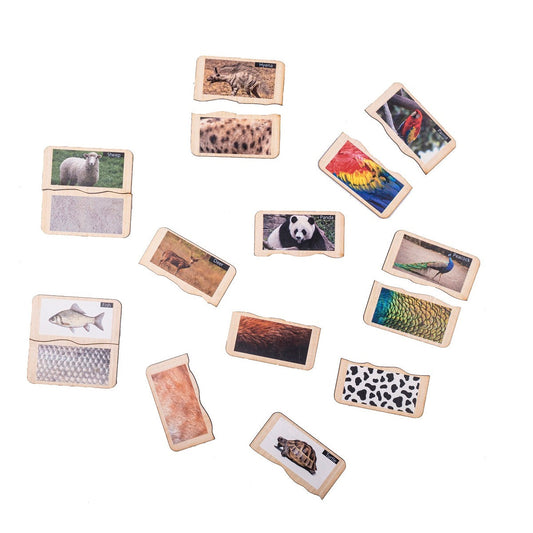 Buy Animals and their Skin Patterns Learning Puzzle  - SkilloToys.com