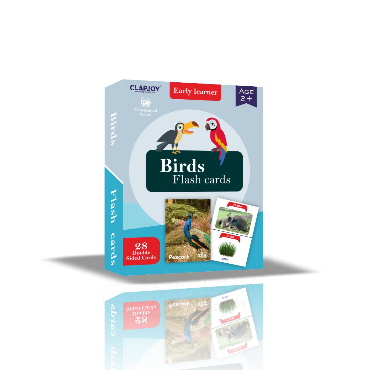 Buy Brids Flash Card for Kids - SkilloToys.com