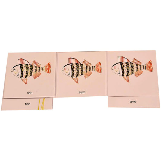 Buy Kidken Montessori Nomenclature Learning Cards - Fish - SkilloToys.com