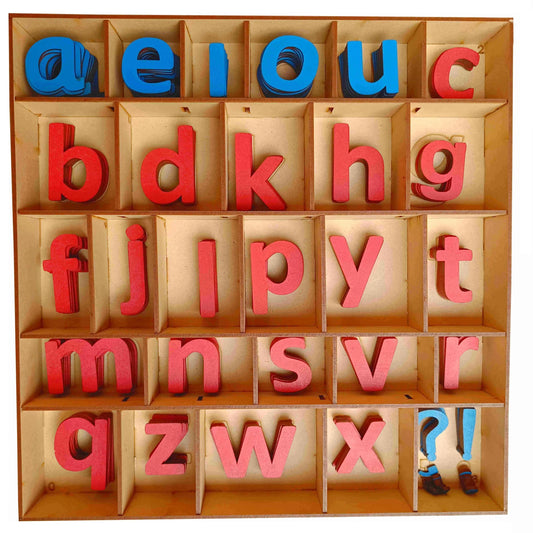 Buy Montessori Preschool Movable Lower Case with Organizer Box & Magnetic - SkilloToys.com
